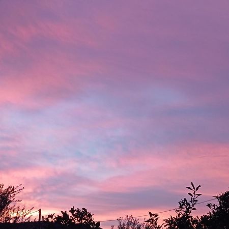 דירות Rodhina Sunset מראה חיצוני תמונה