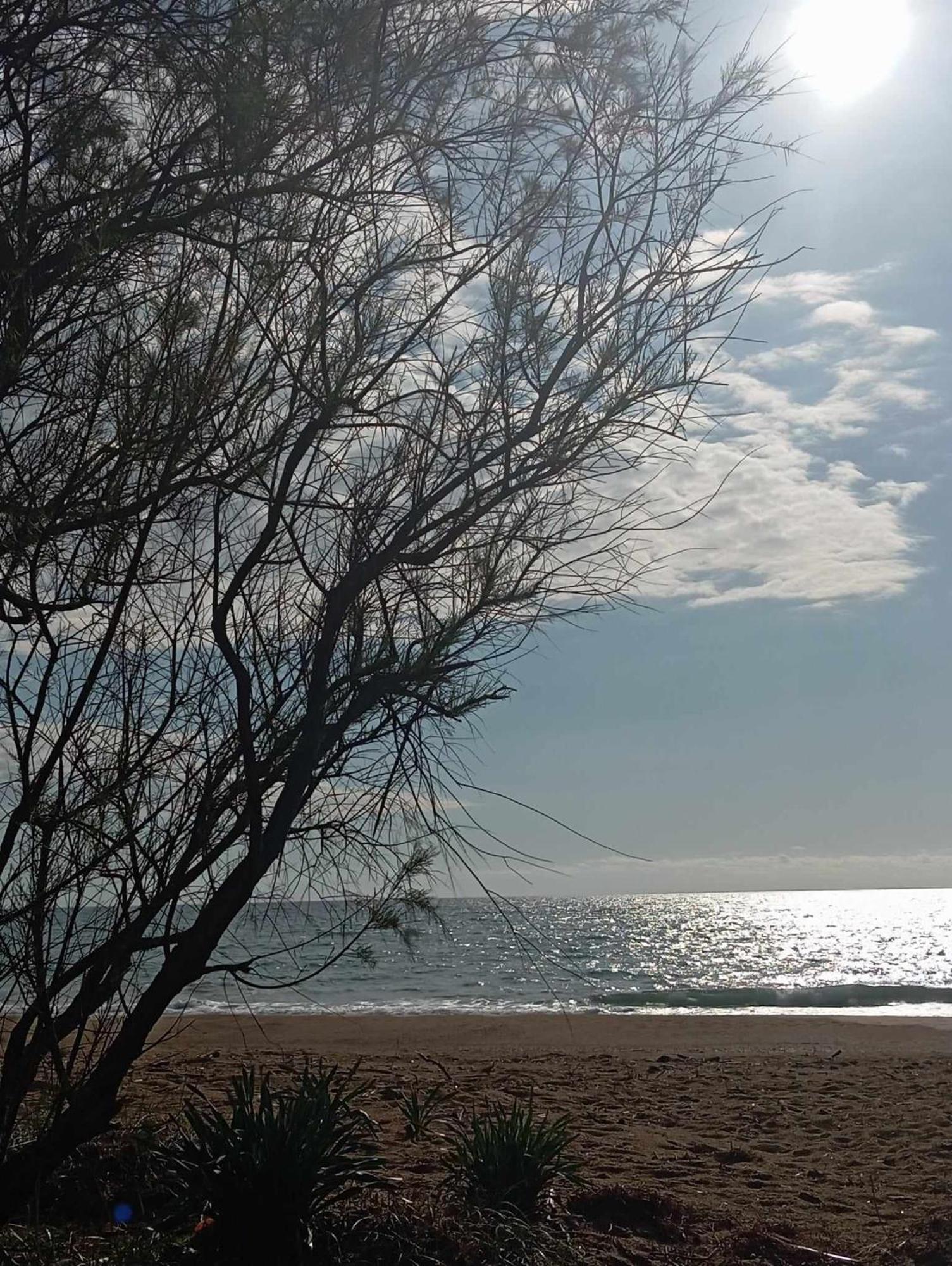 דירות Rodhina Sunset מראה חיצוני תמונה